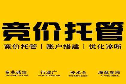 百度竞价包年全解析：成功案例分享